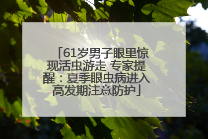 61岁男子眼里惊现活虫游走 专家提醒：夏季眼虫病进入高发期注意防护