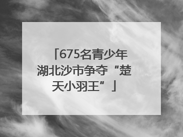675名青少年湖北沙市争夺“楚天小羽王”