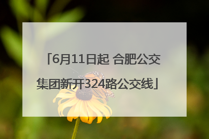 6月11日起 合肥公交集团新开324路公交线
