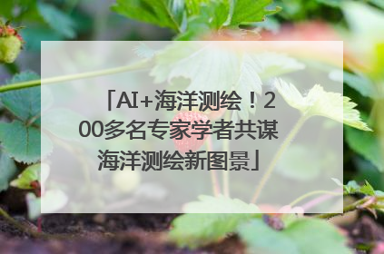 AI+海洋测绘！200多名专家学者共谋海洋测绘新图景