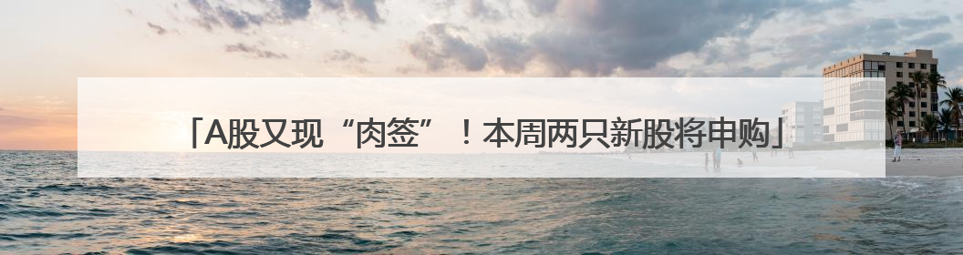 A股又现“肉签”！本周两只新股将申购