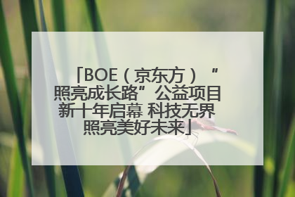 BOE（京东方）“照亮成长路”公益项目新十年启幕 科技无界照亮美好未来